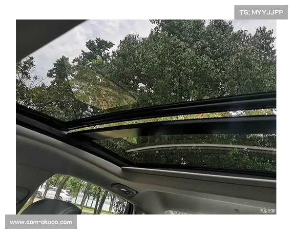 张维维全运前夕更换推杆品牌 装备调整引发技术团队内部分歧